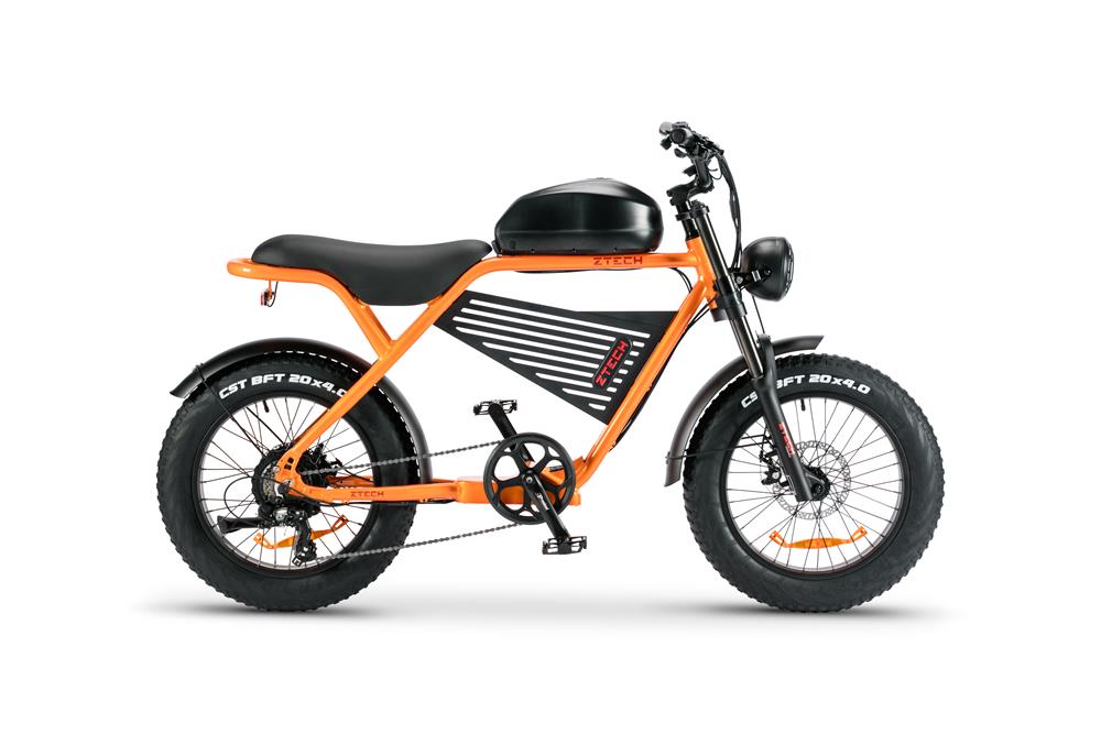 ZTECH LEGACY 4.0 500W PLUS LIMITED EDITION 2025 - Image 10