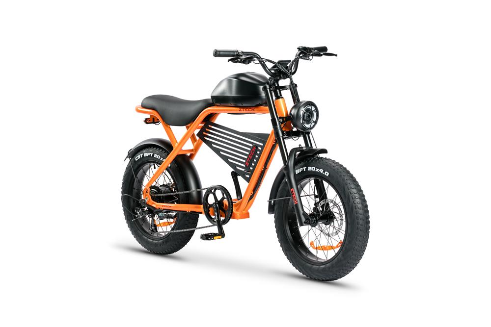 ZTECH LEGACY 4.0 500W PLUS LIMITED EDITION 2025 - Image 9